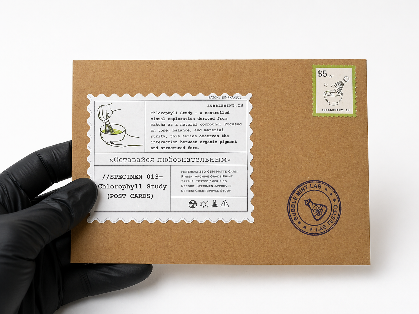 SPECIMEN 013- Chlorophyll Study (POST CARDS)